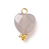 Natural Grey Agate Charms PALLOY-JF01863-04-2