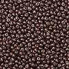 6/0 Glass Seed Beads SEED-L011-08A-08-3
