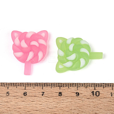 Luminous & Frosted Transparent Resin Cabochons X-RESI-T026-07M-1
