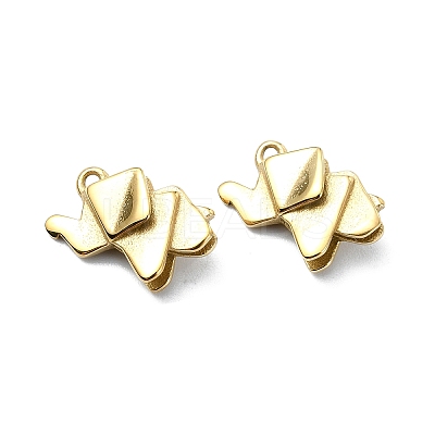 304 Stainless Steel Charms STAS-L022-357G-1