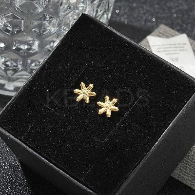 304 Stainless Steel Stud Earrings for Women STAS-Z117-14G-04-1