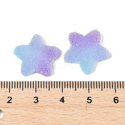 Imitation Candy Food Style Resin Cabochons RESI-R461-02N-1
