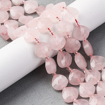 Natural Rose Quartz Beads Strands G-P570-E16-02-1