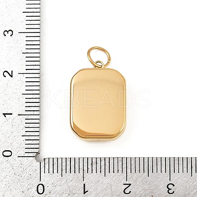 304 Stainless Steel Glass Pendants STAS-K307-13G-1