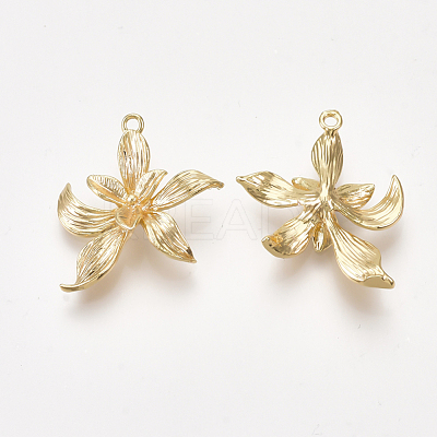 Brass Pendants KK-S350-199-1
