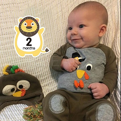 Newborn Monthly Milestone Stickers DIY-H127-B09-1