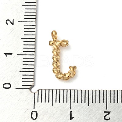 316 Surgical Stainless Steel Pendants & Charms STAS-D031-01J-1