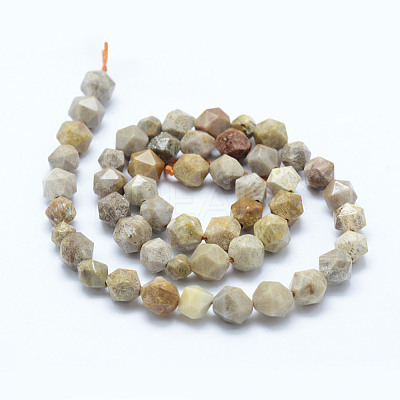 Natural Fossil Coral Beads Strands G-F523-23-8mm-1