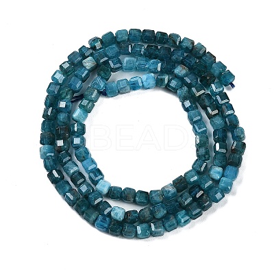 Natural Apatite Beads Strands G-P553-E03-02-1