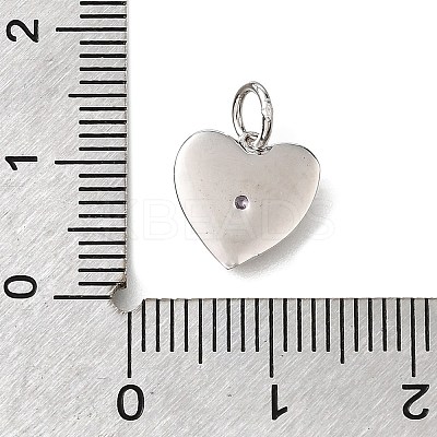 925 Sterling Silver Micro Pave Clear Cubic Zirconia Charms STER-V001-01P-06-1