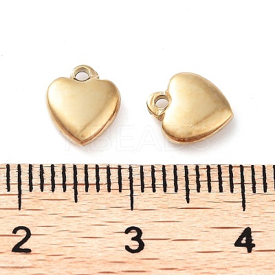 304 Stainless Steel Charms STAS-L022-377G-1
