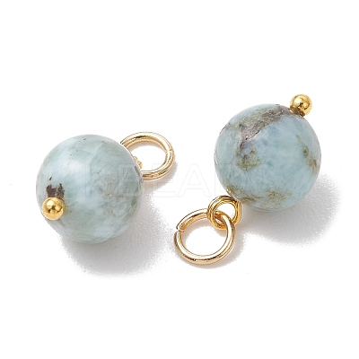 Natural Larimar Pendants PALLOY-JF05255-1