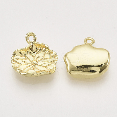 Alloy Charms PALLOY-S121-173-1