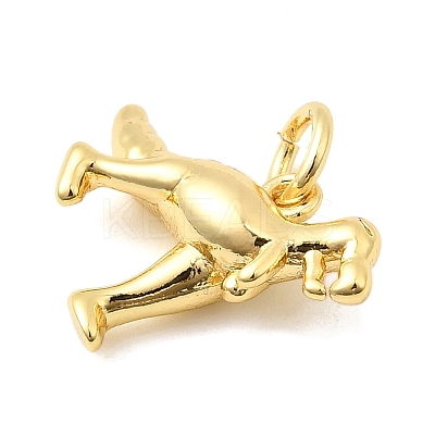 Brass Charms KK-I364-02G-01-1