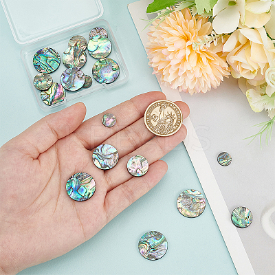 20Pcs 4 Styles Natural Abalone Shell/Paua Shell Cabochons SHEL-WR0001-07-1