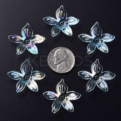 Transparent Acrylic Beads MACR-S373-102-C05-1