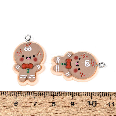 Christmas Theme Opaque Resin Pendants LS-FIND-E025-04-1