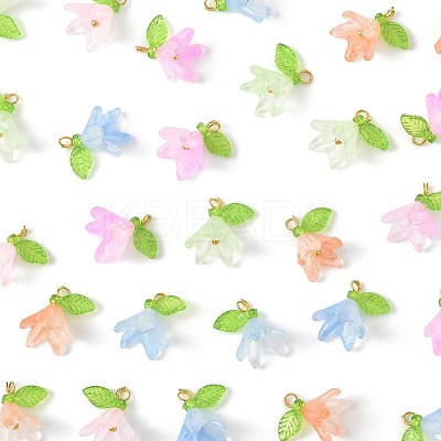 50Pcs Transparent Acrylic Pendants PALLOY-FS00043-01-1
