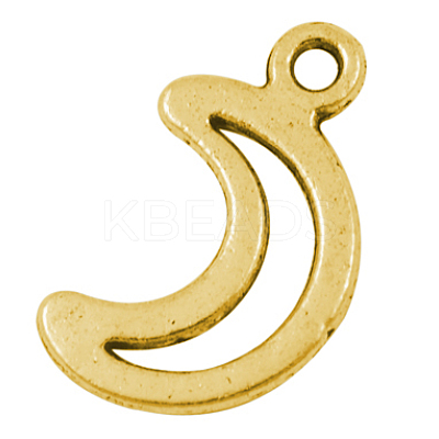 Tibetan Style Alloy Pendants X-GLF10650Y-1