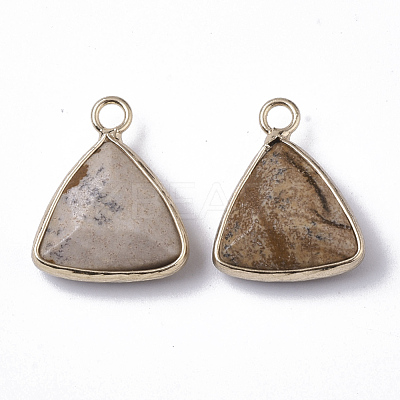 Natural Picture Jasper Pendants G-S359-029D-1