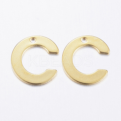 304 Stainless Steel Charms LS-X-STAS-P141-C-1