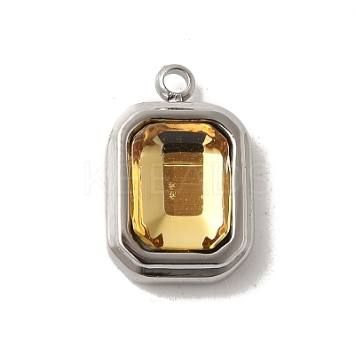 304 Stainless Steel Glass Pendants STAS-L022-062P-05-1