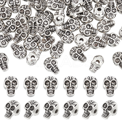 Tibetan Style Alloy Beads TIBEB-UN0001-02-1