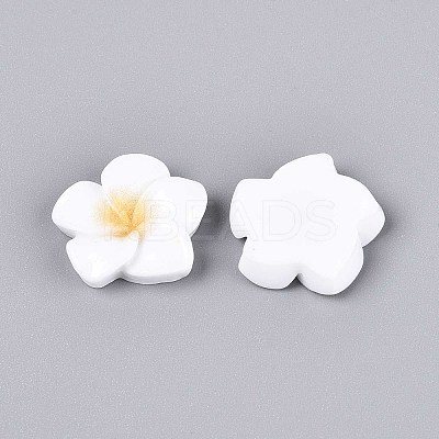 Plumeria Flower Opaque Resin Cabochons CRES-T025-30A-02-1