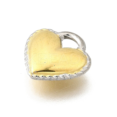 304 Stainless Steel Charms STAS-K252-07GP-1