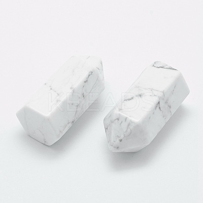 Natural Howlite Pointed Beads G-G760-K14-1