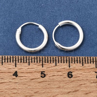 Brass Hoop Earrings EJEW-G474-01S-01-1