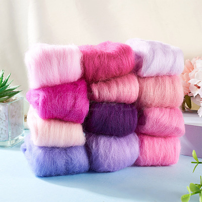 60G 12 Colors Needle Felting Wool Roving DIY-TA0012-85-1
