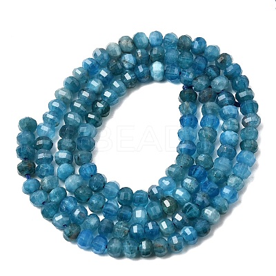 Natural Apatite Beads Strands G-K376-I09-3x4mm-1