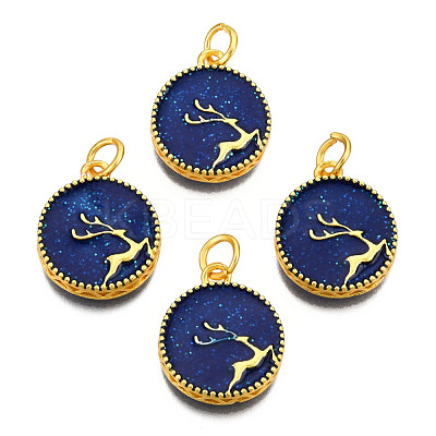 Alloy Enamel Pendants ENAM-N056-039-1