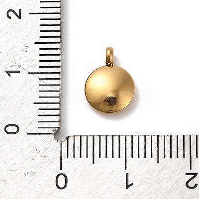 304 Stainless Steel Black Enamel Charms STAS-R009-02G-06-1