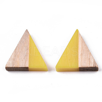 Translucent Resin & Wood Cabochons LS-CRES-N028-001A-A07-1