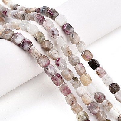 Natural Plum Blossom Tourmaline Beads Strands G-T141-12A-1