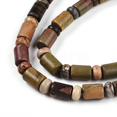 Natural Picasso Jasper/Polychrome Jasper Beads Strands G-N346-03A-05-1