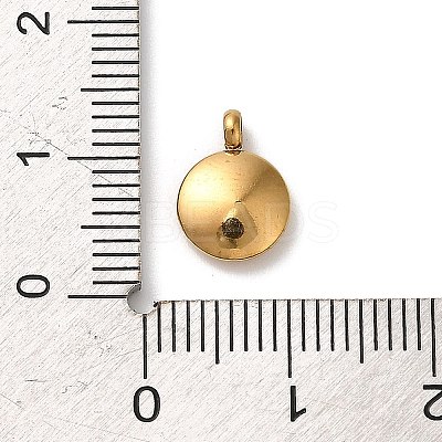 304 Stainless Steel Black Enamel Charms STAS-R009-01G-A-1