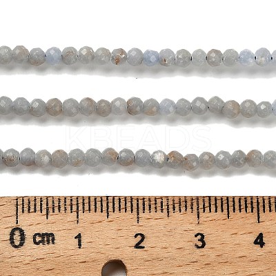 Natural Angelite Beads Strands G-RM2025-16-3mm-1