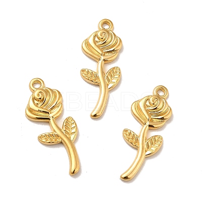 Ion Plating(IP) 304 Stainless Steel Pendants STAS-P312-05G-1