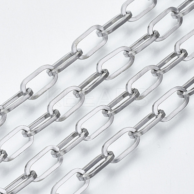 Tarnish Resistant 304 Stainless Steel Paperclip Chains CHS-S001-04B-P-1