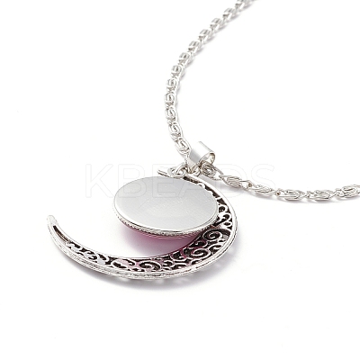 Rainbow Pride Necklace NJEW-F291-01B-1