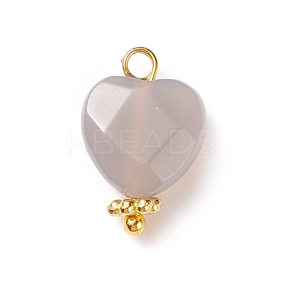 Natural Grey Agate Charms PALLOY-JF01863-04-1