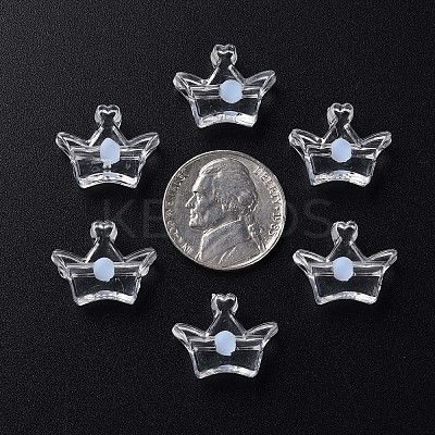 Transparent Acrylic Beads LS-MACR-S373-105-B08-1
