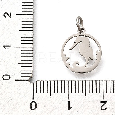 304 Stainless Steel Charms STAS-Z119-06P-1