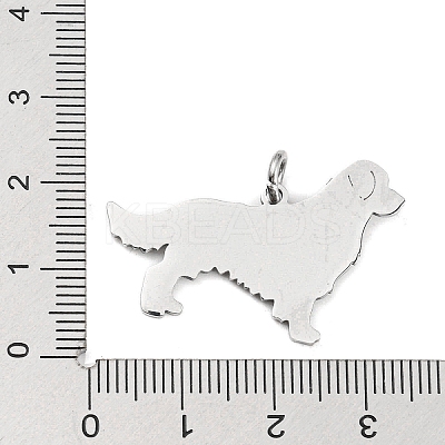 Non-Tarnish 304 Stainless Steel Pendants STAS-E205-10P-1