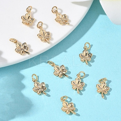 SHEGRACE Brass Charms XGRQ3D271-460G-1