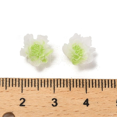 Luminous Resin Decoden Cabochons LS-RESI-K036-06F-02-1
