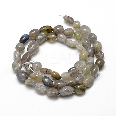 Natural Labradorite Nuggets Beads Strands G-J335-40-1